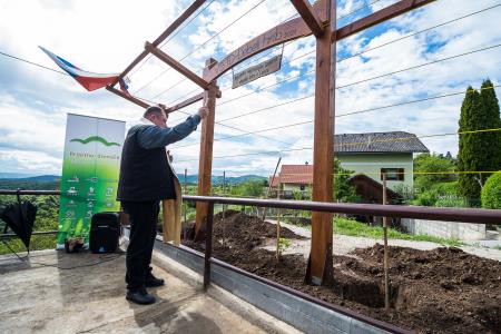 Na Debelem hribu zasadili potomko najstarejše trte na svetu 8